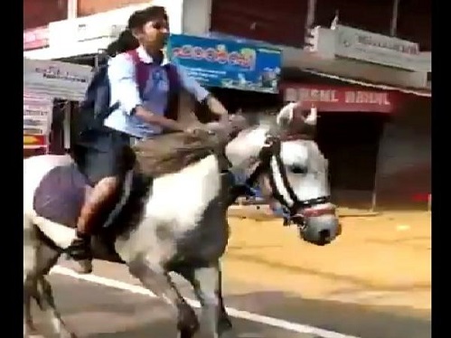 Kerala teen, special reason, rode horse to exam hall