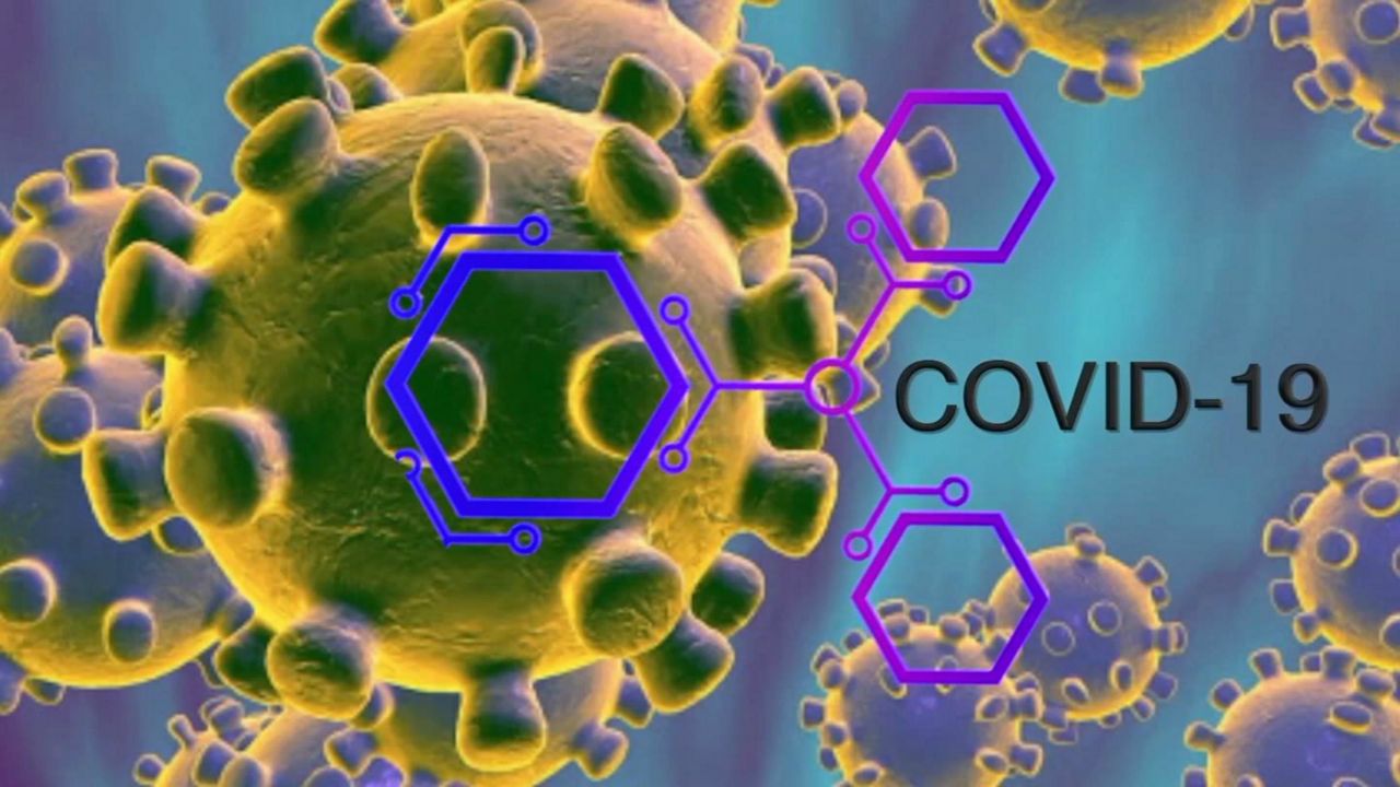 report, Coronavirus, fatalities, health