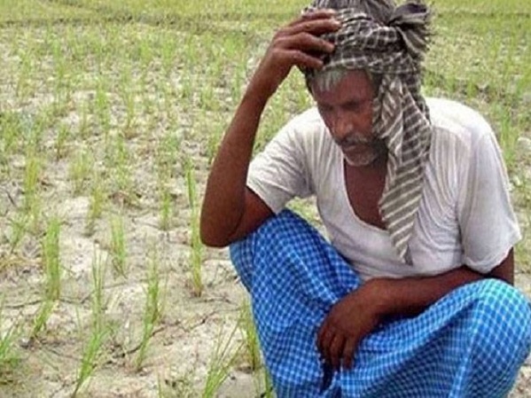 Madhya Pradesh farmer, Rs 13 instead of Rs 24,000, loan waive