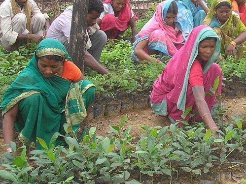 Farmers benefitted, Betul district, Kamal Nath, Madhya Pradesh