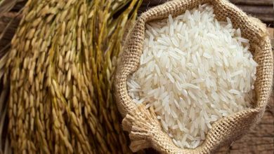 Basmati rice, local product, GI, EU