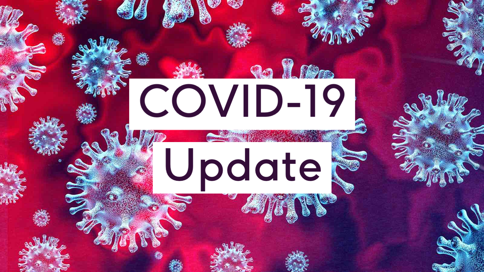 Coronavirus, report, fatalities, death